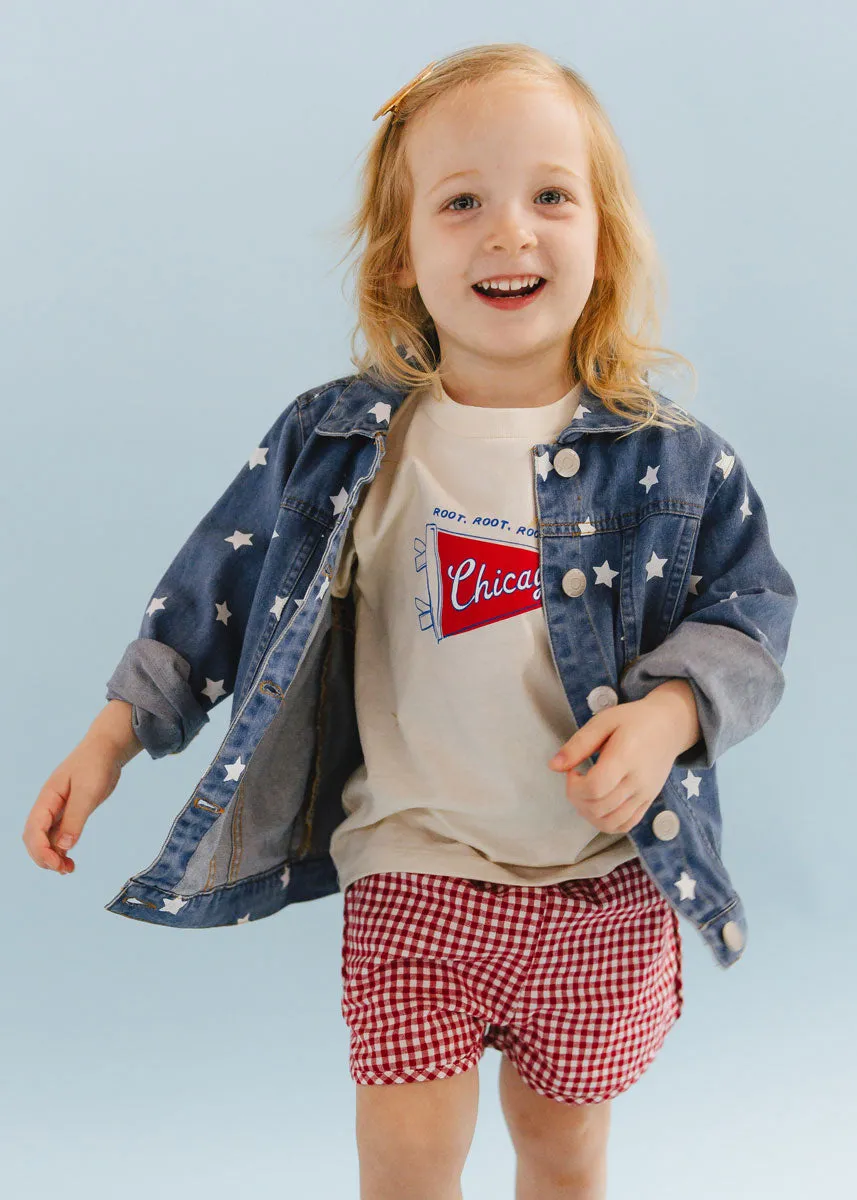 Chicago Pennant Toddler Tee