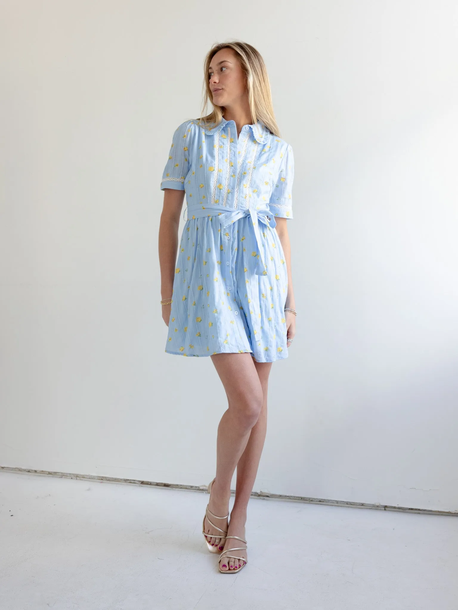 Madi Collared Mini Dress