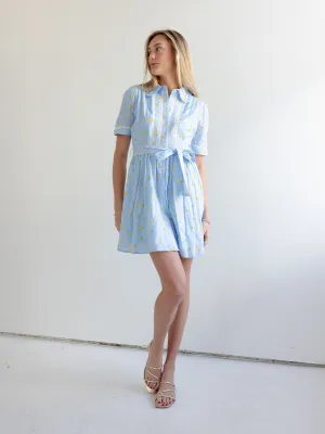 Madi Collared Mini Dress