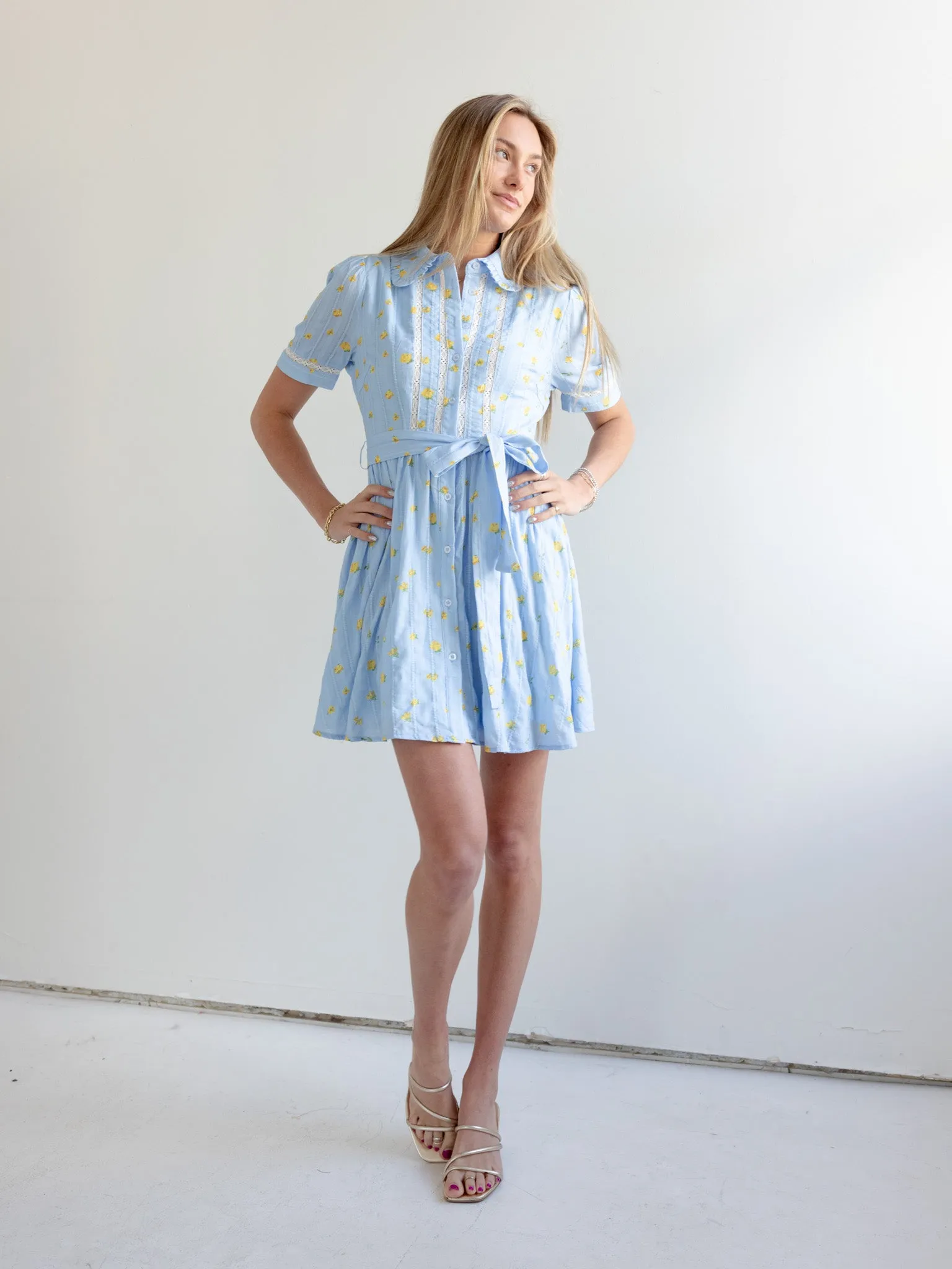 Madi Collared Mini Dress